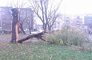 Serwis 19115 na razie działa słabo