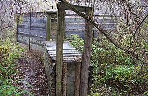 Dzikie harce w odłowniach odstraszają dziki