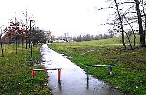 Park Górczewska: jest za ciemno, zwłaszcza od strony Czumy