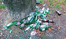 Sprawdzamy jak działa 19115: przystanek, śmieci, dziura