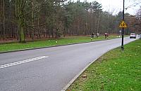 Mieszkańcy Lindego nie chcą: autobusu, przystanków, wycinki drzew