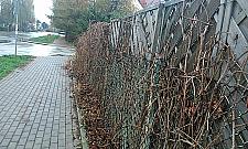 Zacisze: "stop" soleniu ulic. Urzędnicy: będziemy solić