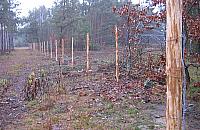 Najskuteczniejszy nadzór budowlany? Sąsiad