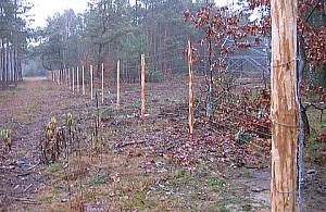 Najskuteczniejszy nadzór budowlany? Sąsiad