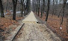 Jak minął rok na Bielanach?