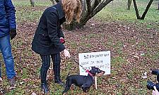 Odolany: miała być zieleń, a będzie beton!