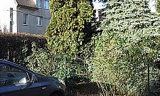 Marysin Wawerski nie chce takiego planu!