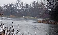 Wycięto dwieście drzew nad Kanałem, mieszkańcy zawiadomią prokuraturę