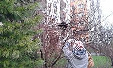 Chomiczówka: zakaz dokarmiania zwierząt. Legalny?