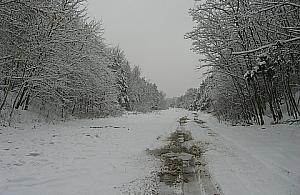 Ekolodzy przegrali - powstanie droga do Czajki