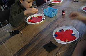 Pomysłowe soboty w Falenicy. Nie przegap!