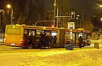 Kobieta z psem wyproszona z autobusu. "Bo był bez kagańca"