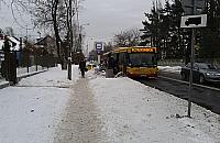 Las i Zerzeń po spotkaniu z władzami dzielnicy. "Żenada"