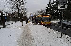 Las i Zerzeń po spotkaniu z władzami dzielnicy. "Żenada"