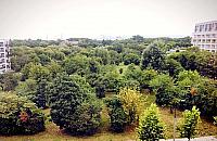 Zielone Odolany muszą zdobyć 10 milionów. Kto da?