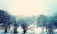 Zielone Odolany muszą zdobyć 10 milionów. Kto da?