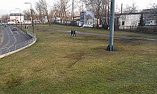 Spór o siłownię przy Górczewskiej: Urzędnicy zawinili, zapłacą podatnicy