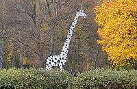 Bielany miały słonia, a Wola - żyrafę