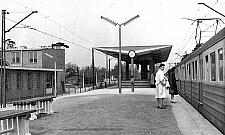 Poznaj bardzo ciekawą historię Wawra