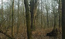 Park Nowa Warszawa - teren prywatny. Chodzić nie można?