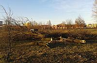 Wycinają drzewa pod pętlę tramwajową