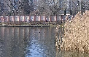 O czym dyskutuje Wawrzyszew? Niezmiennie o tym samym