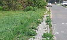 Czym się różni Wawer? Tym samym co wróbel