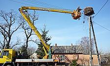 Energetycy naprawiają... bocianie gniazda