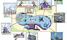 Prawie Disneyland powstaje pod Warszawą