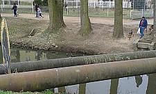 Burmistrz: z naszych mostków kpiono, a teraz jest się czym chwalić