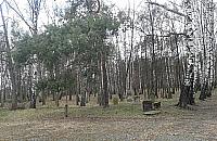 Cmentarz Żydowski zostanie otwarty dla zwiedzających