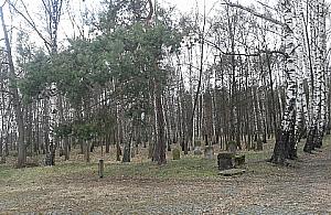 Cmentarz Żydowski zostanie otwarty dla zwiedzających