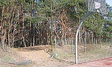 Co z boiskiem przy Walcowniczej? Pomoże budżet partycypacyjny?