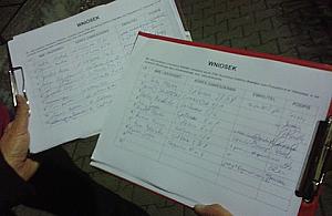 Bronią dębu - zebrali prawie 300 podpisów w godzinę