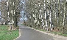 Ulica Zdziarska nie trzyma się dziarsko