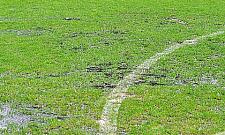 Najbardziej brakuje... pszczół. 142 pomysły na lepszy Wawer