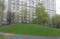 Drewno star�o si� z Metalem. Urz�dzili g�rk� na Krochmalnej