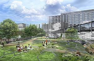 Jak przywrócić Żelaznej wielkomiejski charakter?