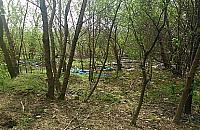 Będzie proces o Fort Chrzanów