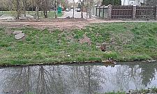 Czy Zacisze będzie warszawską Holandią?