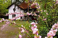 Zen w Falenicy. Prawie 20 lat