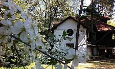 Zen w Falenicy. Prawie 20 lat