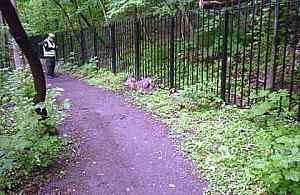 Dewajtis: Uwolnić kozła!