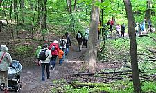 Rodzinne spacery po Lesie Bielańskim - skorzystaj!
