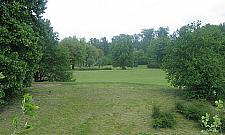 Wybieg dla psów na Kole - fajny pomysł?