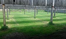 Przy Marymonckiej każdy może sobie postrzelać