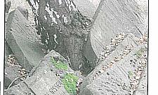 Bródnowski kirkut: wstęp płatny, przejścia brak