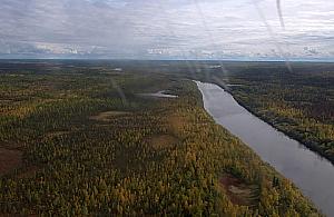 Piknik historyczny - poznaj ponurą historię stalinowskich łagrów