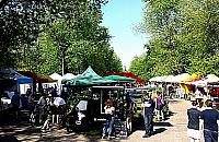 Na zdrowe śniadanie? Do parku Wiecha!