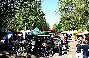 Na zdrowe śniadanie? Do parku Wiecha!